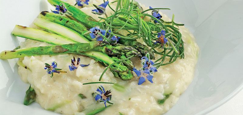 HERCAİ MENEKŞE VE KUŞKONMAZLI RİSOTTO