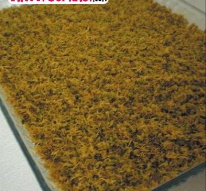 Yalancı Künüfe Tatlısı Tarifi